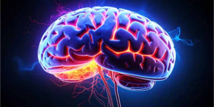 Startup Builds Data Centres Powered By Human Brain Cells, Not Chips