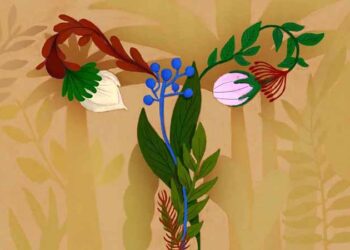 ‘The microbiome is a bit like a forest’: How bacteria in the vagina can improve health