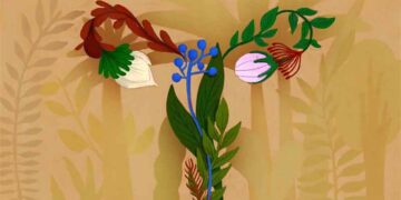 ‘The microbiome is a bit like a forest’: How bacteria in the vagina can improve health