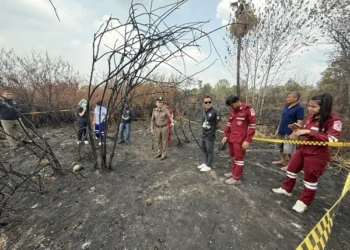 ผงะ! พบโครงกระดูกปริศนาในป่าถูกไฟไหม้ อยุธยา ลูกชายเชื่ออาจเป็นพ่อหาย 3 ปี รอตรวจดีเอ็นเอ