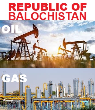 WhatsApp Image 2026 04 02 at 5.02.22 PM