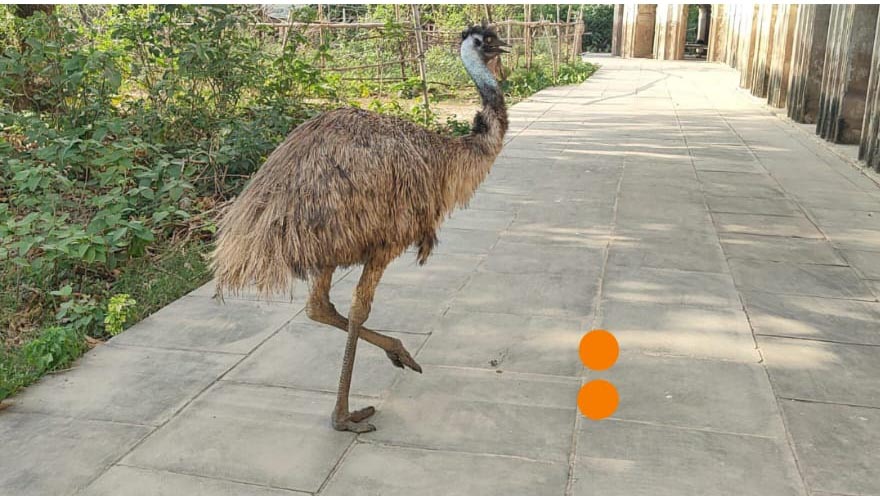 WhatsApp Image 2026 04 18 at 7.35.46 PM