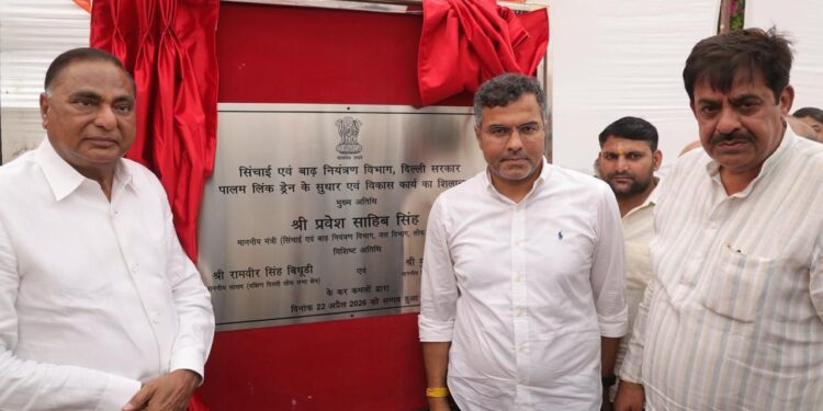 Drain to Gain: Major Civic Upgrade Rolled Out Across Palam & Nilothi