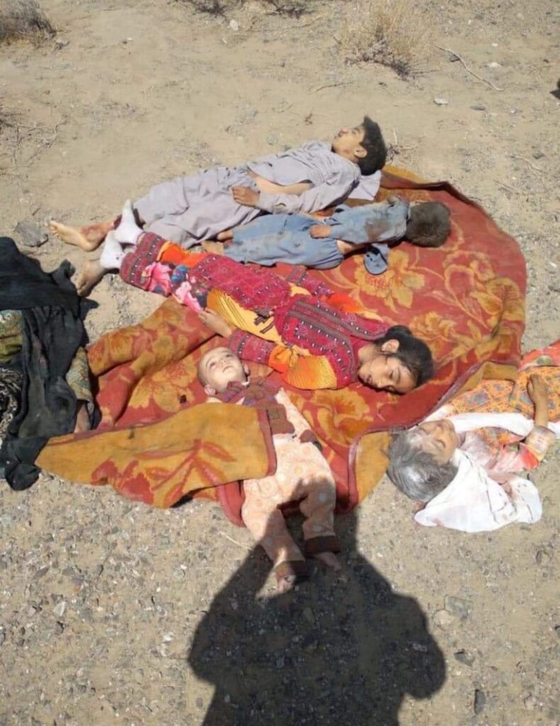 WhatsApp Image 2026 04 27 at 7.11.43 PM