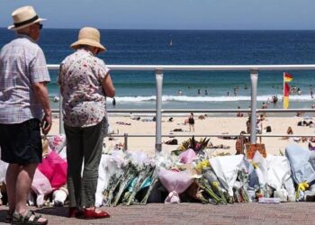 Royal commission into Bondi shooting says gun reform should be prioritised