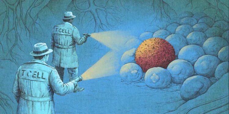 'It's incredible, like science fiction': How a new wave of immunotherapy is eliminating cancers 1 ‘It’s incredible, like science fiction’: How a new wave of immunotherapy is eliminating cancers