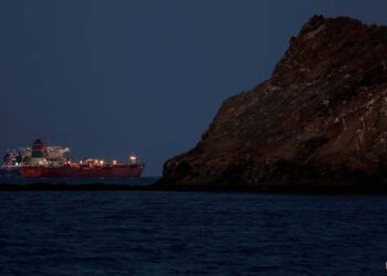 “Food Security Time Bomb”: Expert Warns Hormuz Blockade Could Threaten Supply