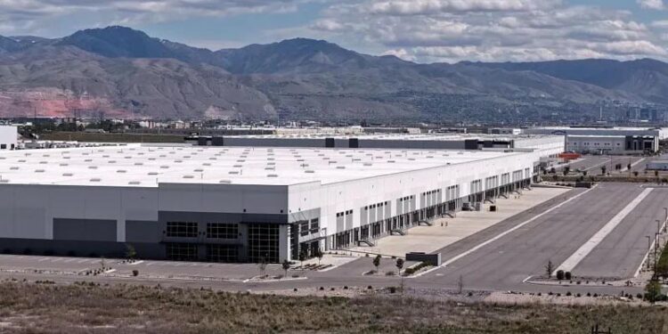 French woman, 86, held by ICE after moving to US to reunite with long-lost love