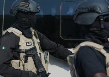 29 killed in Islamic State attack in Nigeria