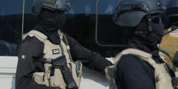 29 killed in Islamic State attack in Nigeria