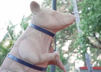 Cambodia unveils statue to honour famous landmine-sniffing rat
