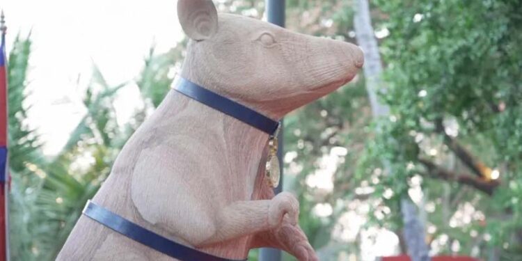 Cambodia unveils statue to honour famous landmine-sniffing rat