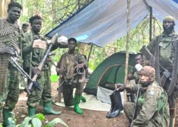 More than 200 rescued from IS-linked group in DR Congo