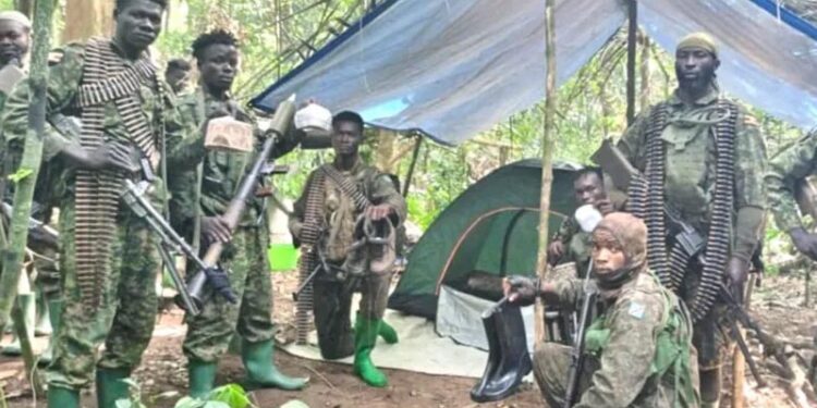 More than 200 rescued from IS-linked group in DR Congo