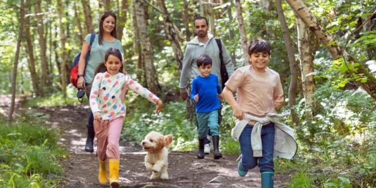 How 20 minutes of nature can boost your health 1 How 20 minutes of nature can boost your health