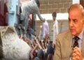 Pakistan Flour Crisis Deepens as 40% of Mills Shut in Punjab