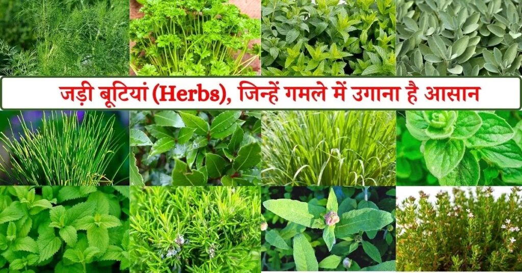 WhatsApp Image 2026 05 06 at 11.14.10 PM