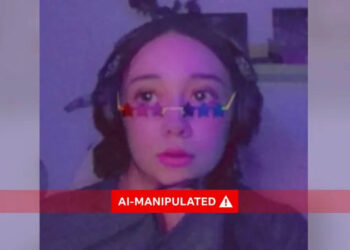 AI vigilante trap snares alleged paedophile ex-teacher in France