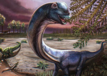 Giant new dinosaur identified from fossils in Thailand