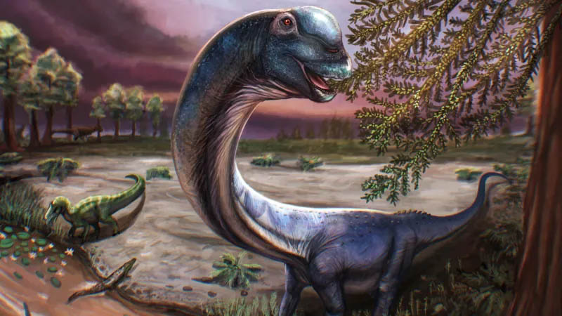 Giant new dinosaur identified from fossils in Thailand