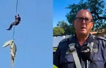 Police officer lowered into crocodile-infested river to recover human remains