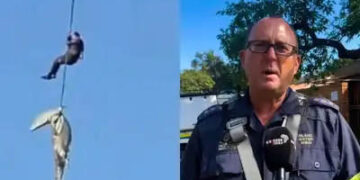 Police officer lowered into crocodile-infested river to recover human remains