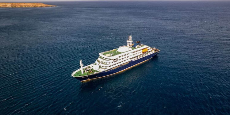 3 Die On Atlantic Cruise Ship From Suspected Hantavirus: WHO