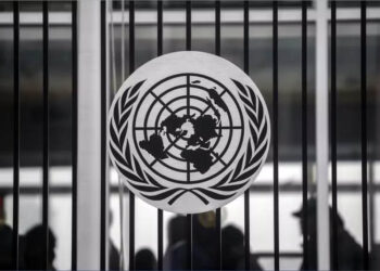 Austria, Portugal among 5 nations elected to UNSC; Germany suffers setback