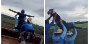 Brazil Woman, 21, Falls 40 Metres To Death After Crew Forget Safety Rope During Bungee Jump