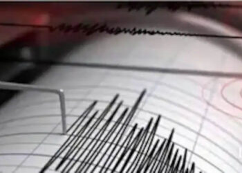 Powerful 6.9 Magnitude Earthquake Strikes Japan, No Tsunami Warning Issued