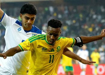 South Africa made to look like fools over World Cup visa issues, says minister