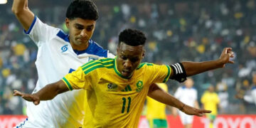South Africa made to look like fools over World Cup visa issues, says minister