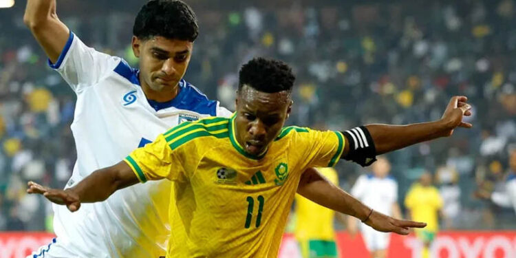 South Africa made to look like fools over World Cup visa issues, says minister 1 South Africa made to look like fools over World Cup visa issues, says minister