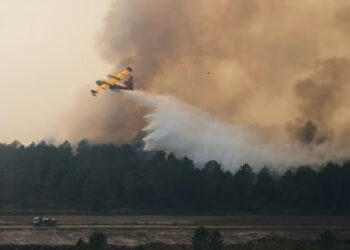 Inside Europe's Wildfires, Heatwaves And The Climate Forces Driving Them 6 Inside Europe’s Wildfires, Heatwaves And The Climate Forces Driving Them