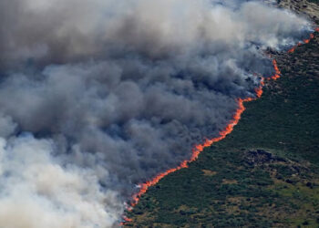 "Will Take Long Time To Control": Over 2 Lakh Evacuated Due To France Forest Fire 2 “Will Take Long Time To Control”: Over 2 Lakh Evacuated Due To France Forest Fire