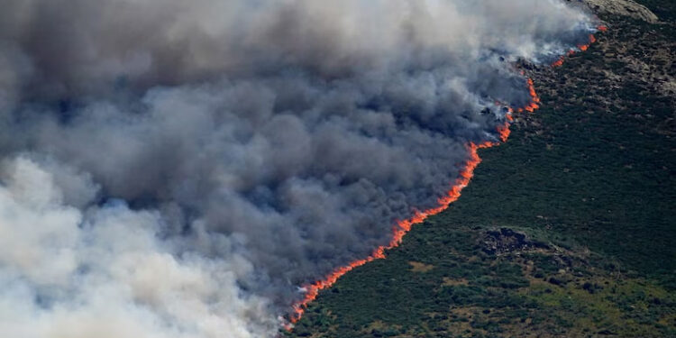 “Will Take Long Time To Control”: Over 2 Lakh Evacuated Due To France Forest Fire
