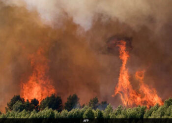 Nearly 3,000 Evacuated As Wildfires Sweep Across France