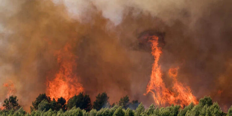 Nearly 3,000 Evacuated As Wildfires Sweep Across France