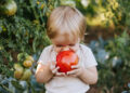 The habits that help children to eat more vegetables over their lifetime