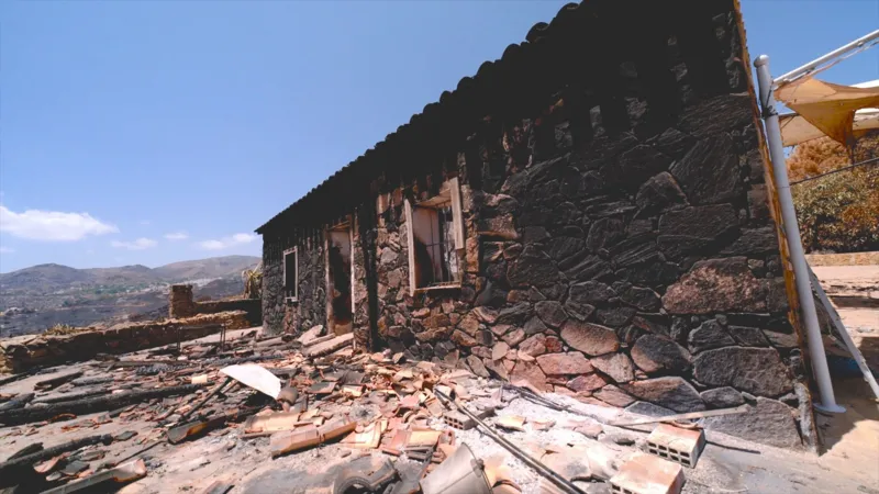 Briton tells of surviving Spain wildfire in car as wife and friends died trying to run to safety 2 image 6