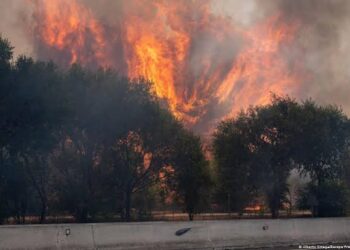 France and Spain wildfires force 2 lakh evacuations near Bordeaux and Madrid 4 France and Spain wildfires force 2 lakh evacuations near Bordeaux and Madrid