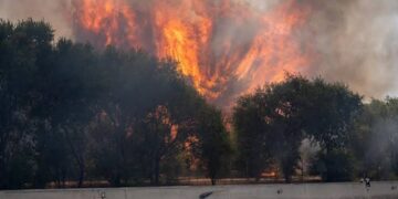 France and Spain wildfires force 2 lakh evacuations near Bordeaux and Madrid