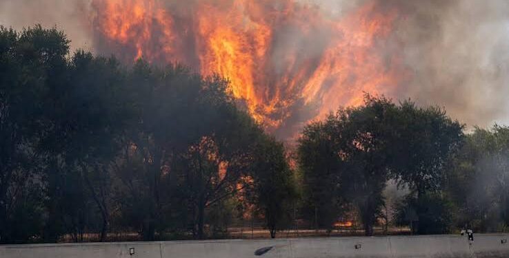 France and Spain wildfires force 2 lakh evacuations near Bordeaux and Madrid 1 France and Spain wildfires force 2 lakh evacuations near Bordeaux and Madrid