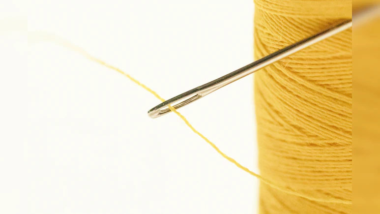 Japanese Woman Arrested For Sewing Housemate’s Lips Shut