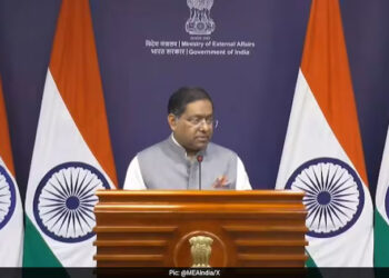 Everyone Knows Which Country Is “Stymying” SAARC, India Takes Dig At Pak