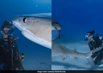 Woman Who Once Feared Sharks Sets Guinness Record With 106 Sea Predator Tattoos