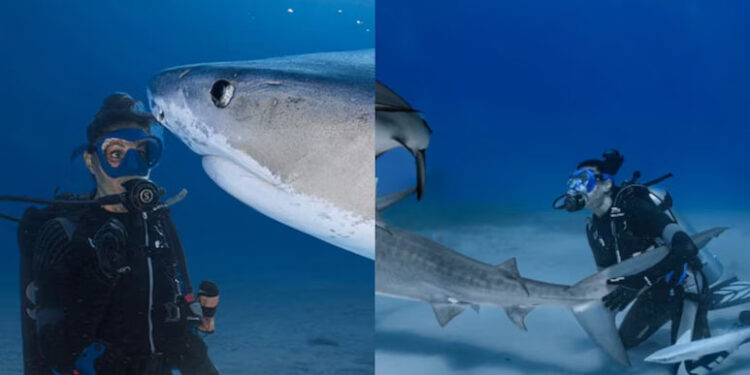Woman Who Once Feared Sharks Sets Guinness Record With 106 Sea Predator Tattoos 1 Woman Who Once Feared Sharks Sets Guinness Record With 106 Sea Predator Tattoos