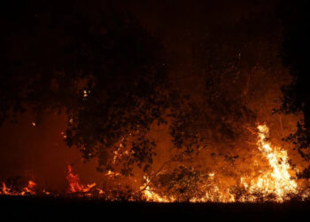 Over 30,000 Evacuated As Wildfires Burn Through France And Spain
