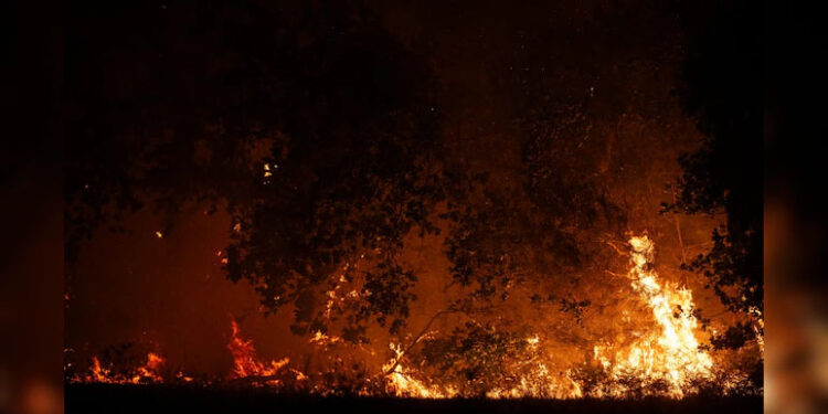 Over 30,000 Evacuated As Wildfires Burn Through France And Spain 1 Over 30,000 Evacuated As Wildfires Burn Through France And Spain