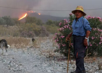 Spain wildfire leaves at least 12 dead, 23 missing in expat community